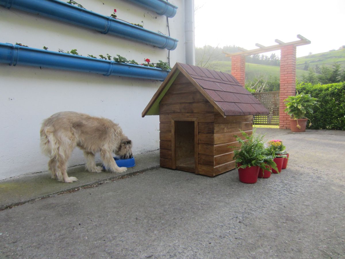 Revestimiento con lamas paso 10