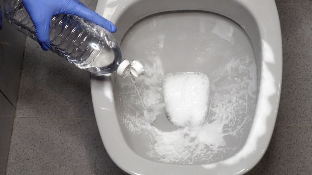 como desatascar un bano 5