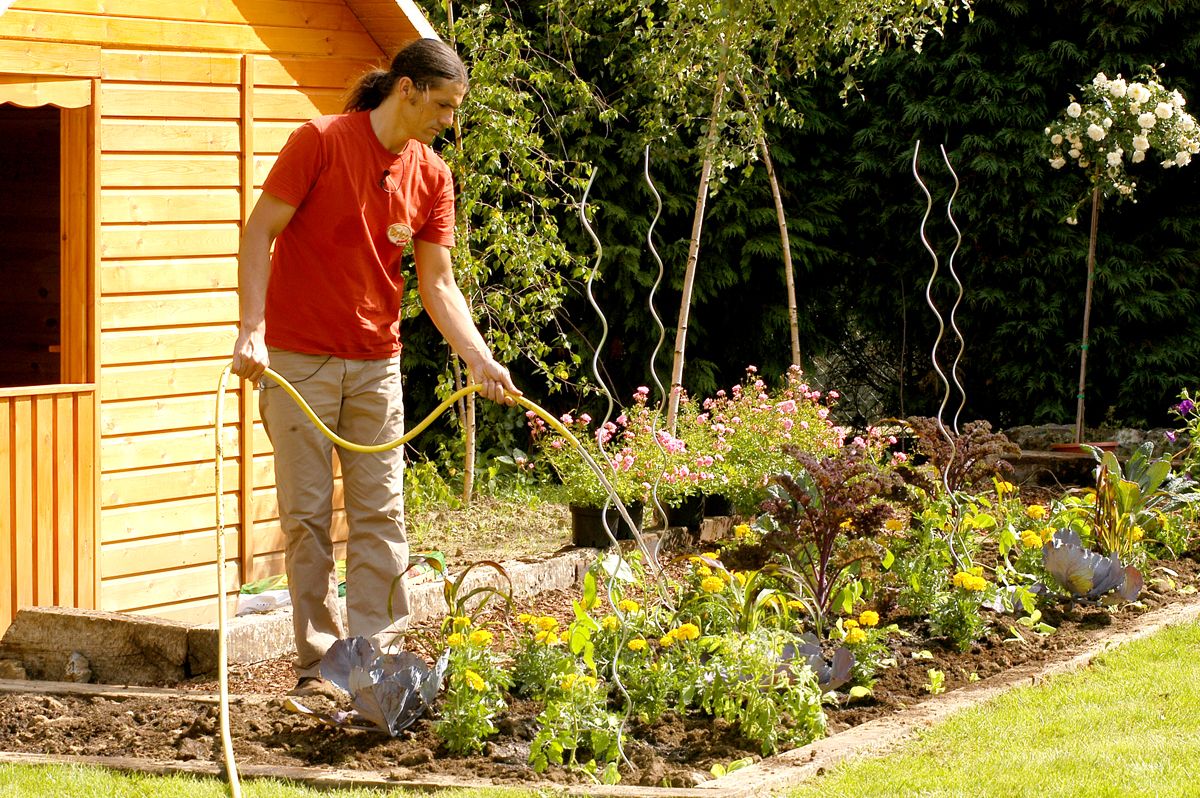 brico 0376 3 como hacer huerto plantas ornamentales paso 9