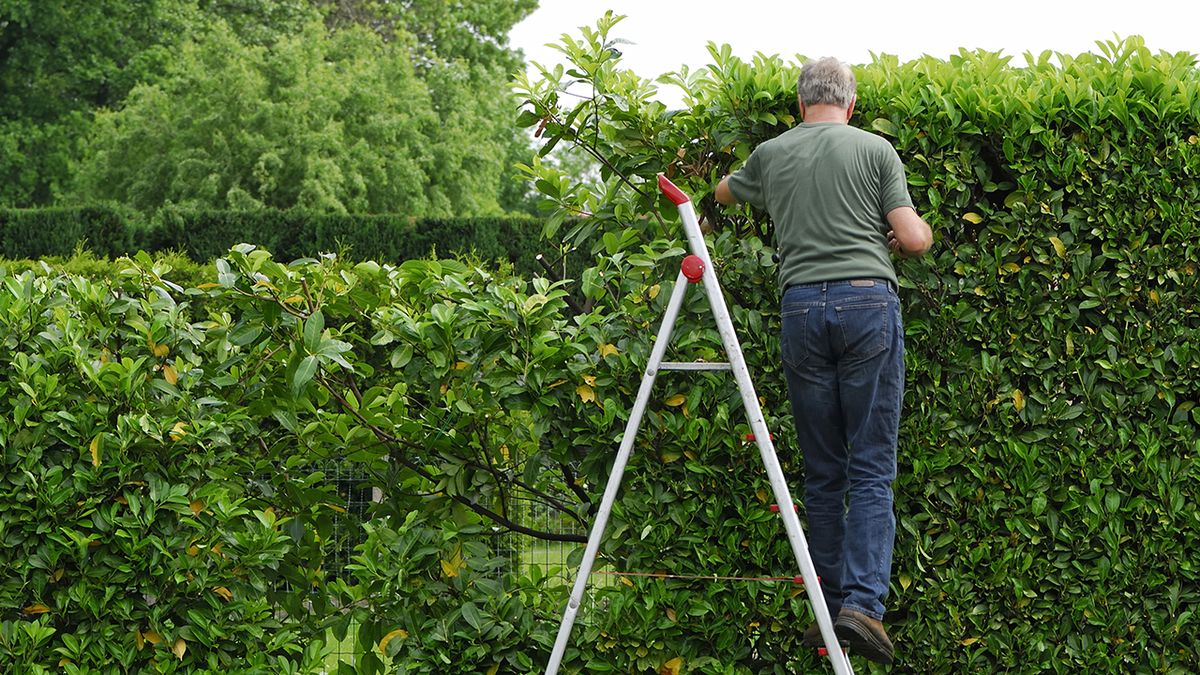 jardineria septiembre1