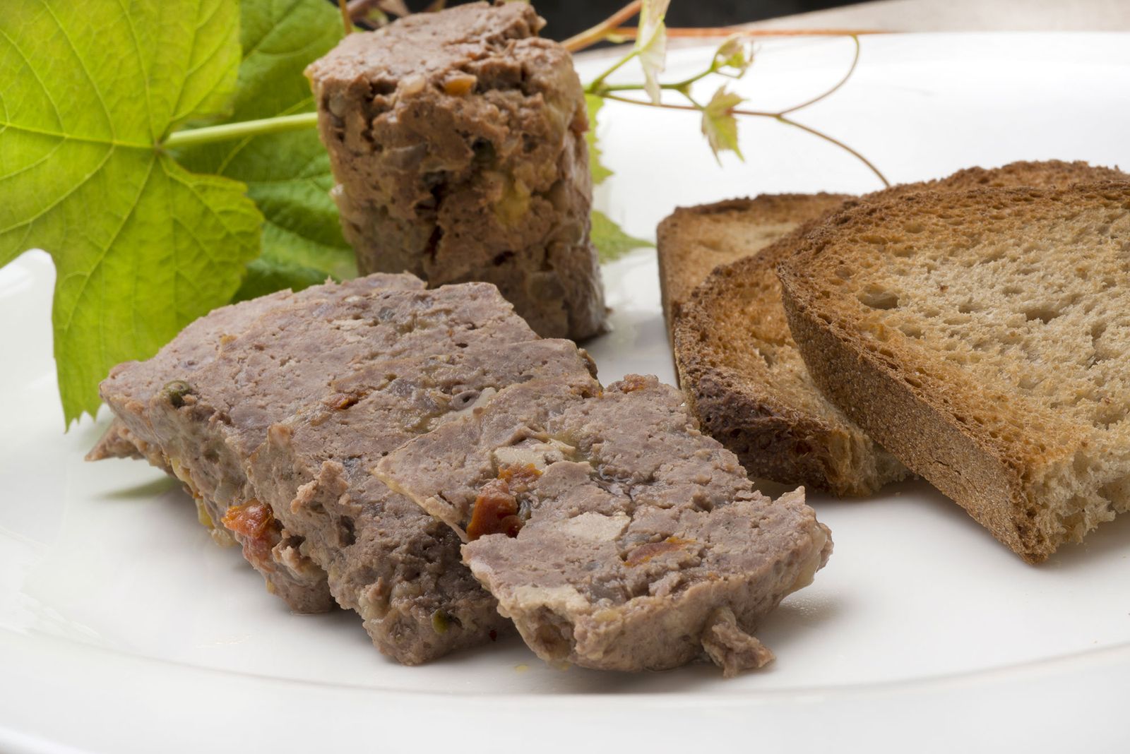 5805 1 Pate de campaña (1189) xl