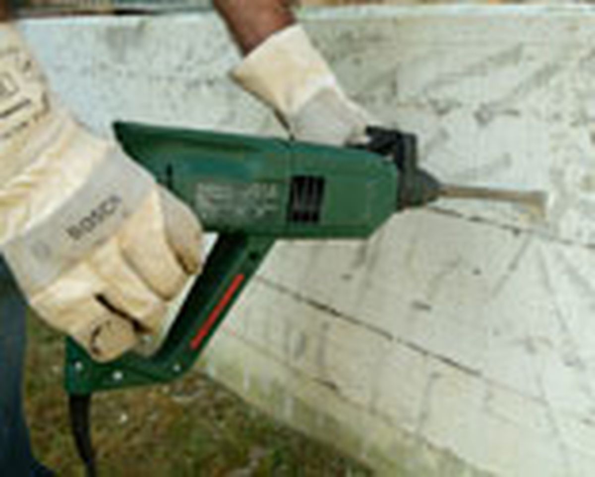 462 pied nat ext p06 1