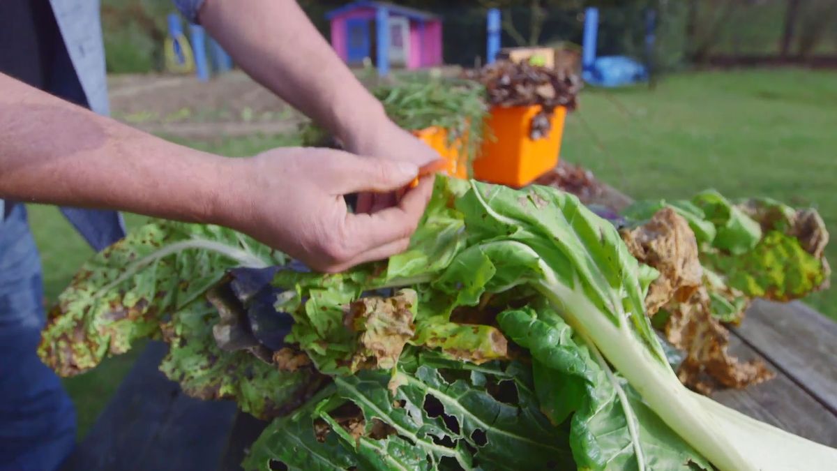 brico 0898 como hacer compost humus materia organica residuos hogar