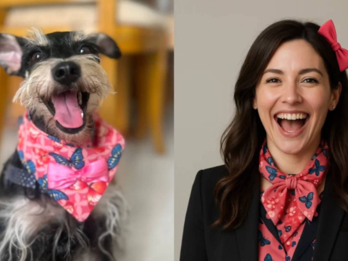 Importante: No necesitas pagar por versiones premium ni suscripciones.