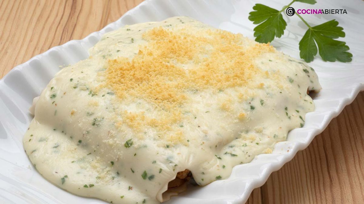 karl6900 canelones bolonesa xl