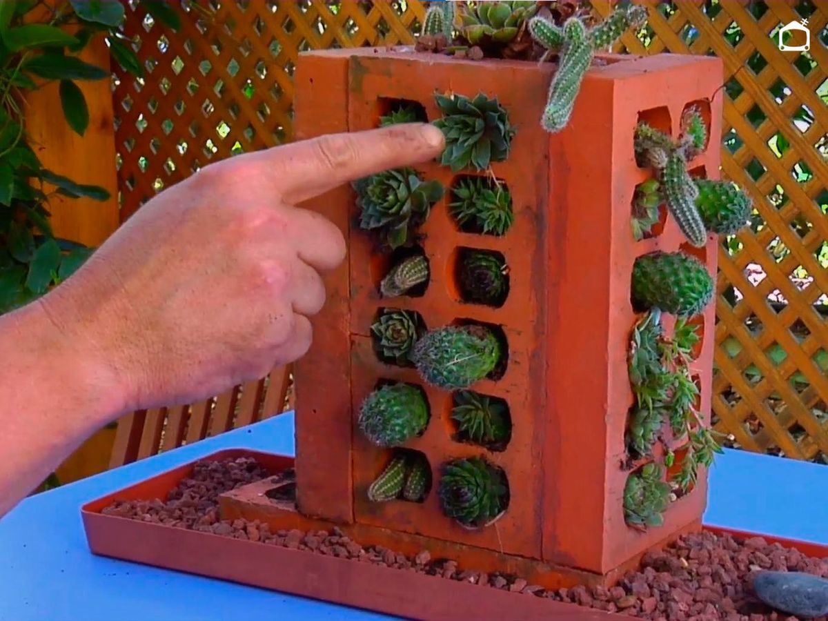 Mini jardín vertical para suculentas con ladrillos.
