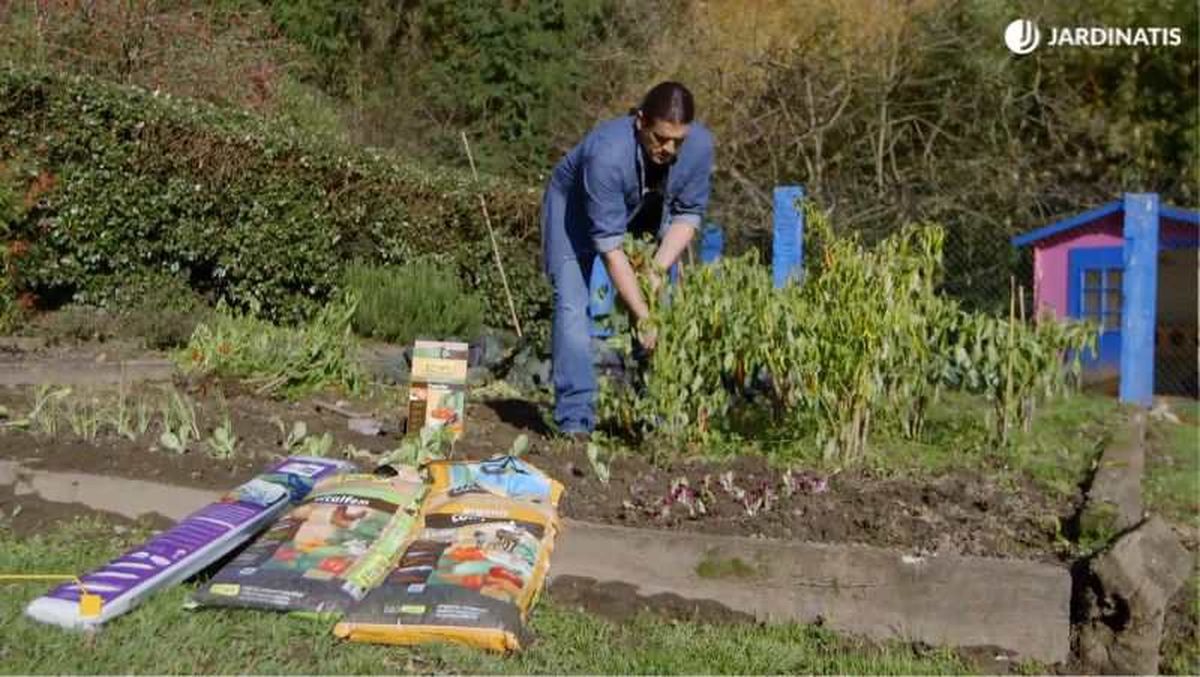 Retirar cultivos viejos de la huerta