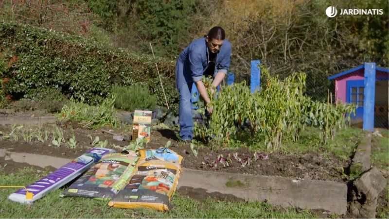 Retirar cultivos viejos de la huerta