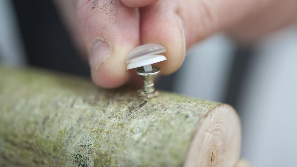 Bricomania 707 Arbol de la lectura p15