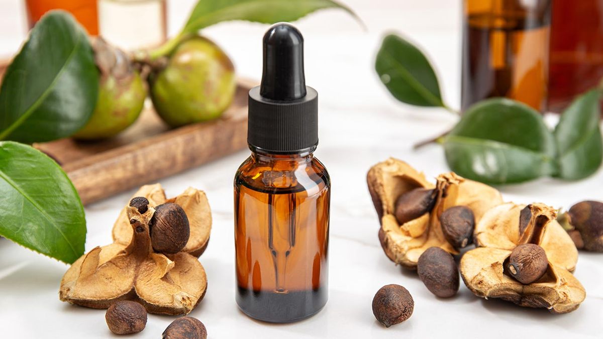 aceite de tsubaki o camelia el secreto mejor guardado de las geishas