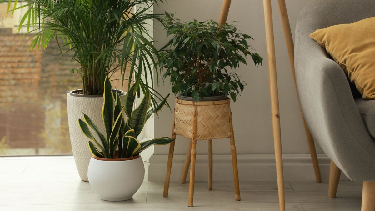 Las fibras naturales cada vez están más de moda