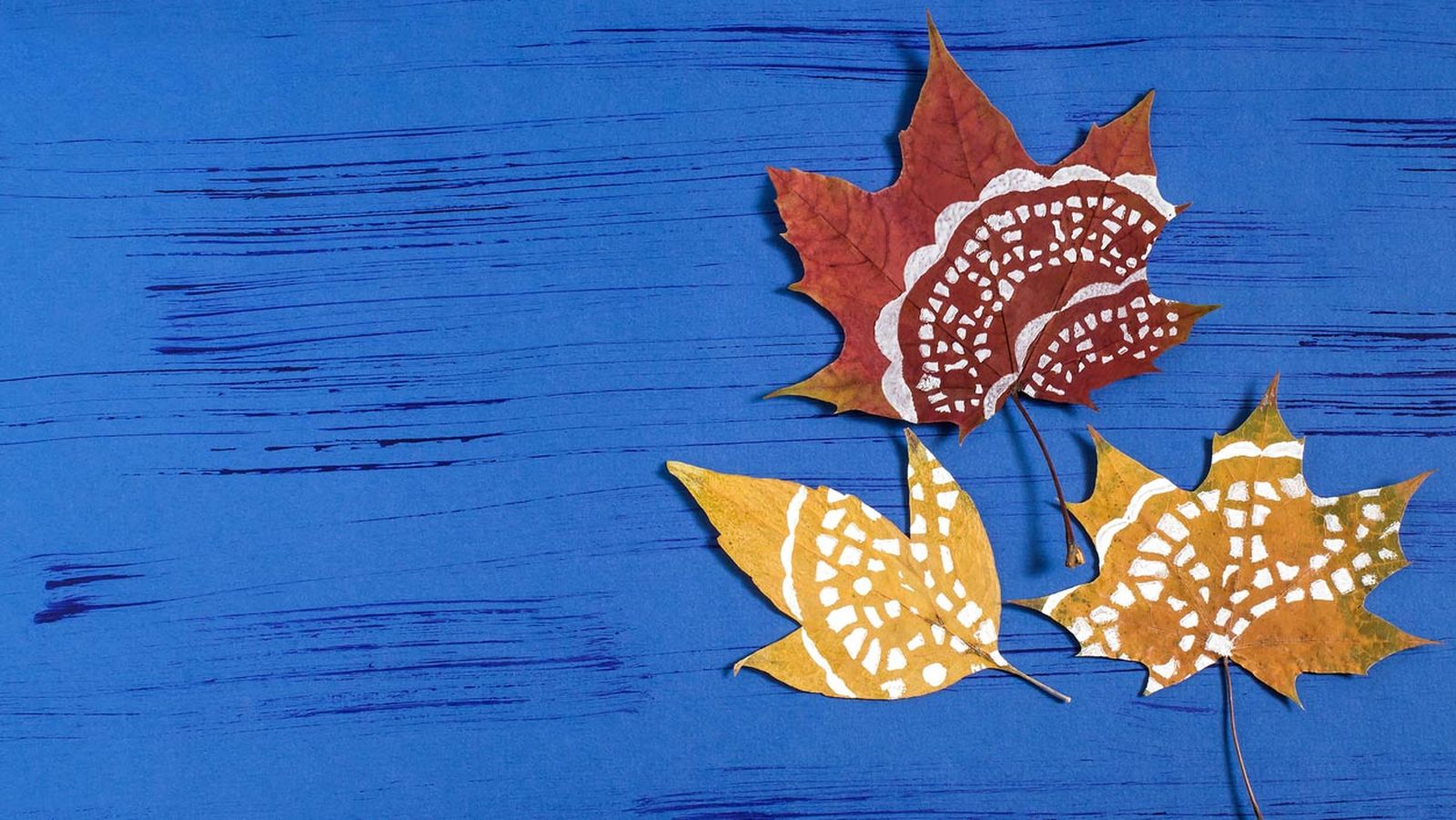 pintar mandalas hojas secas