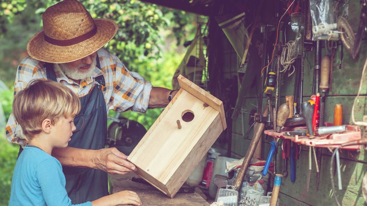 herramientas lidl xl