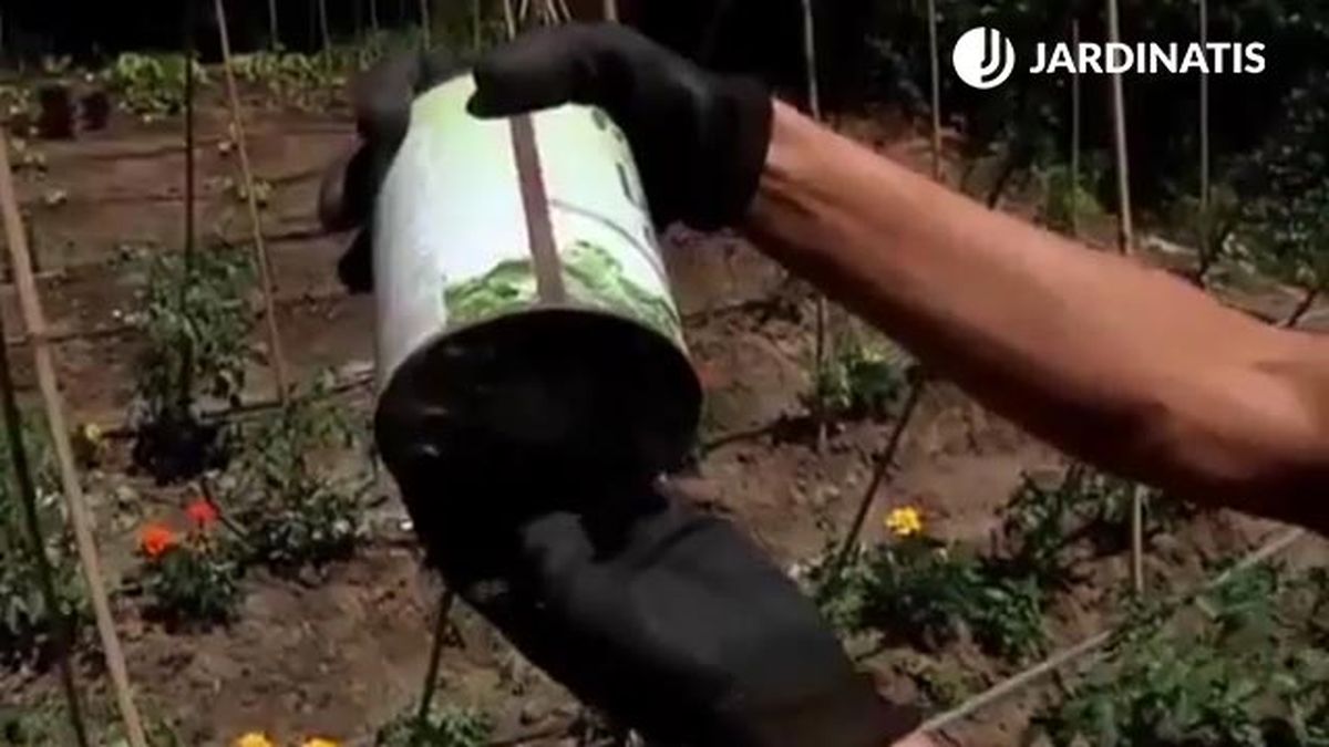 como distribuir el fungicida acaricida en las plantas de huerta