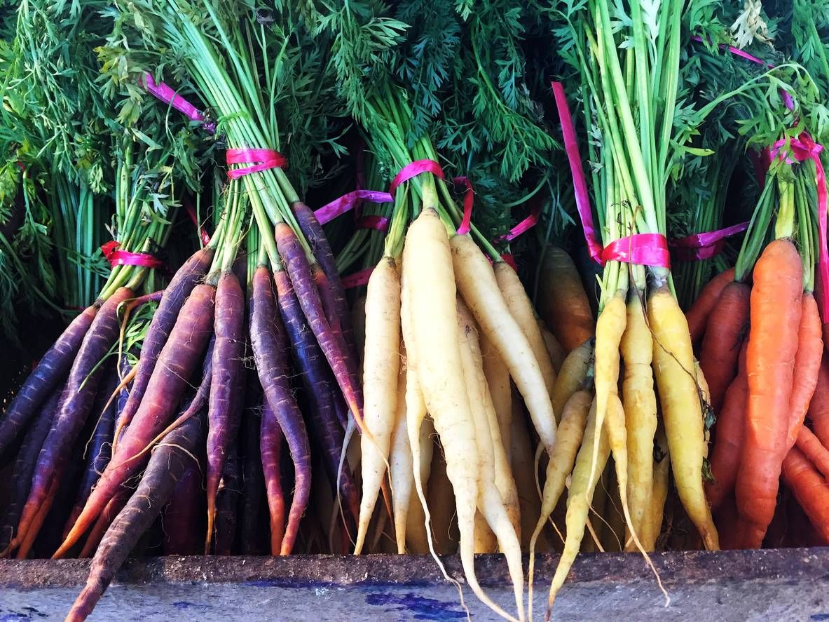 Diferentes tipos de zanahorias.