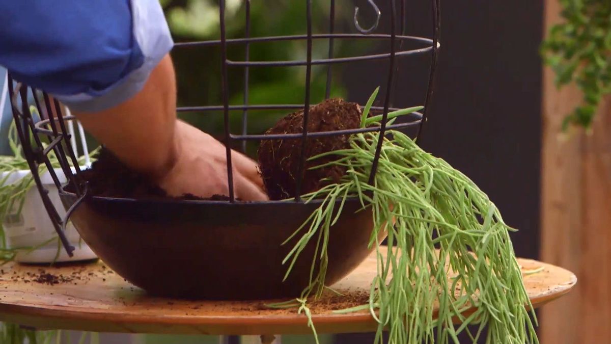 brico 932 3 cestos colgantes plantas poca tierra plantacion