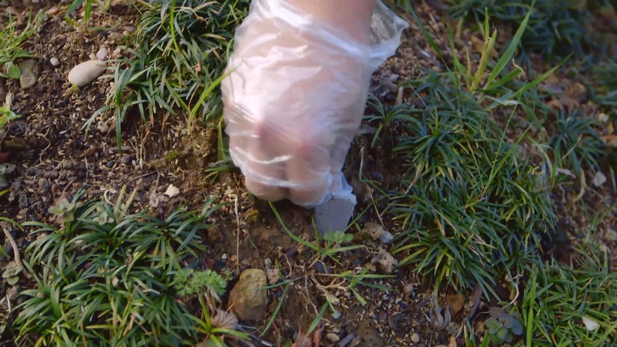 brico 0901 3 abonar arboles arbustos invierno paso 3