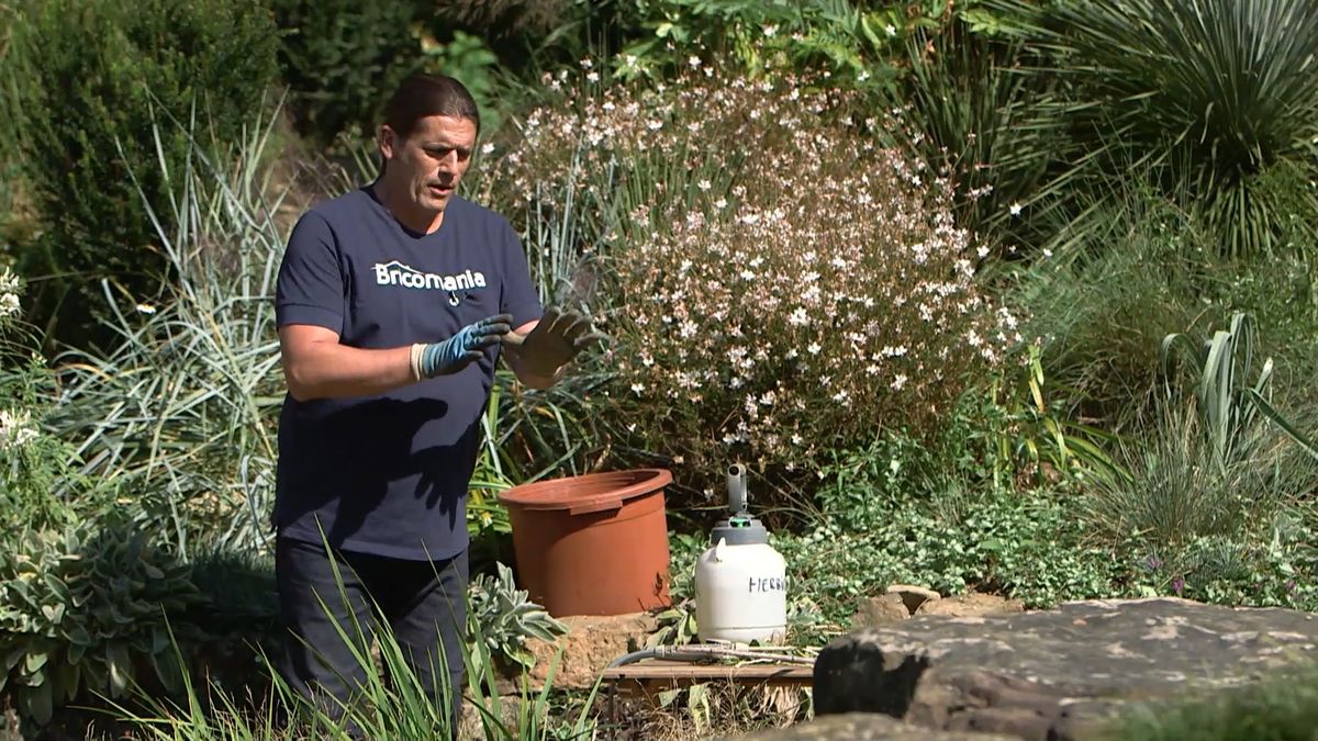 brico 965 briconsejo 3 como eliminar correhuela paso 4