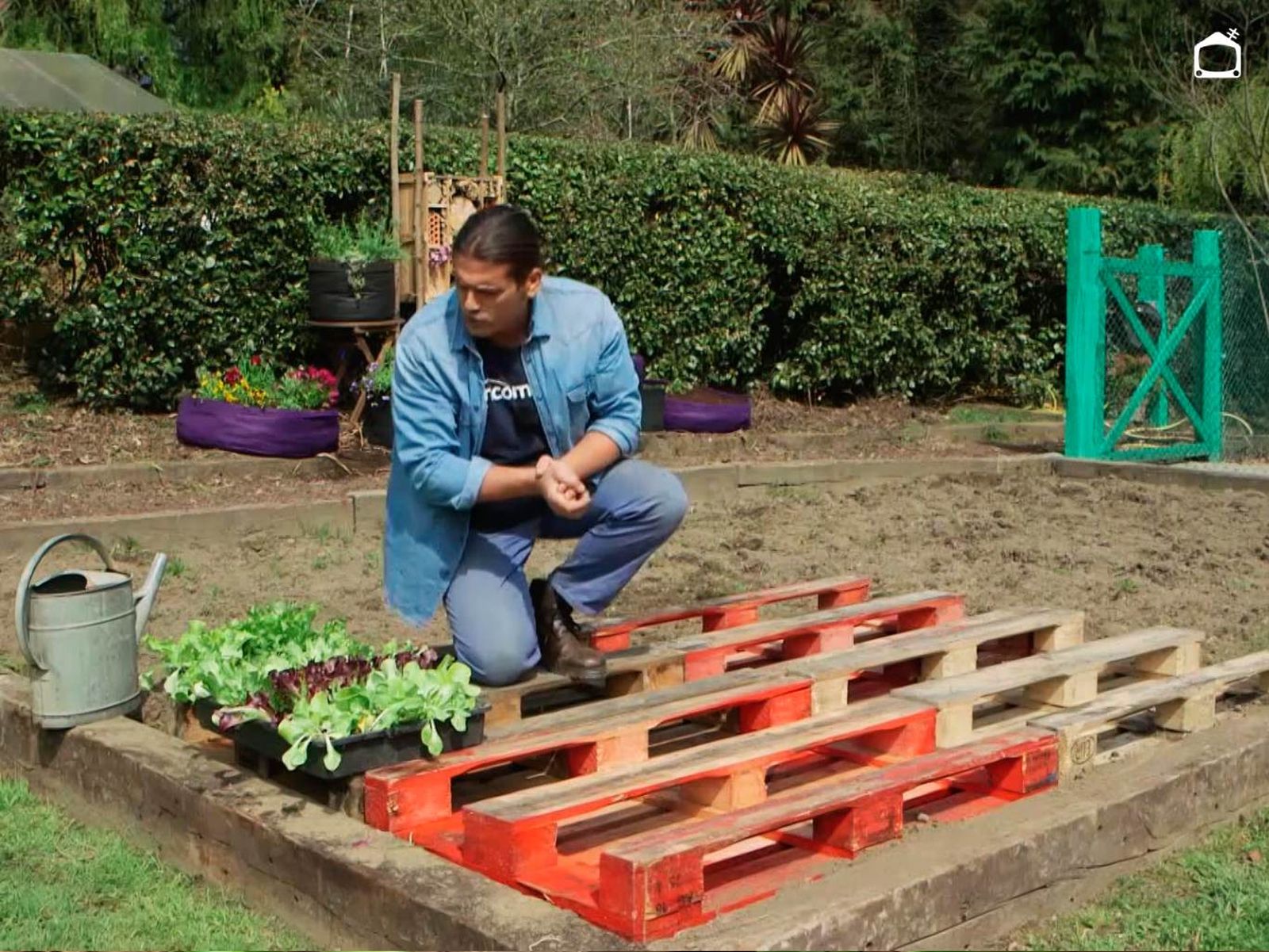 Iñigo Segurola plantando lechugas en palets en la huerta de Karlos Arguiñano.