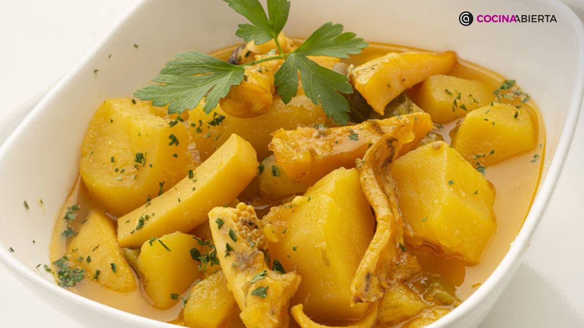 karl7088 chocos papas xl