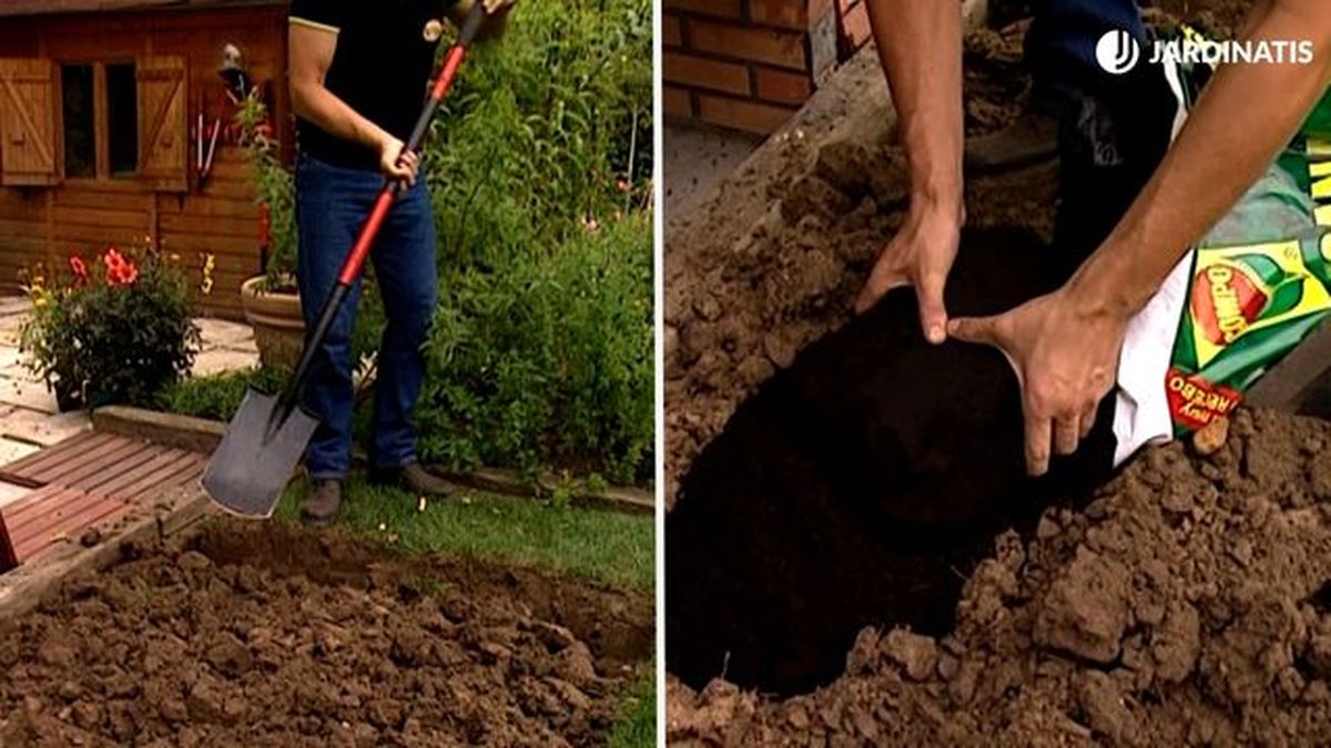 remover tierra plantacion parra virgen brico 734