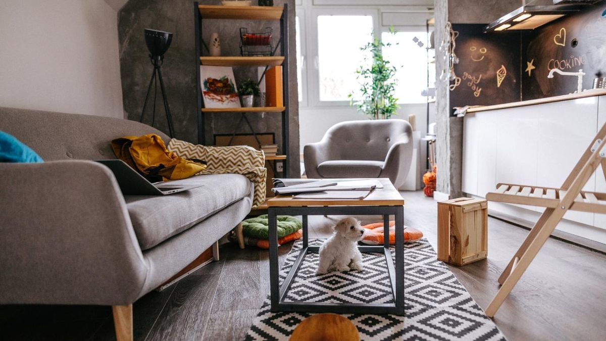 Salón acogedor de un piso pequeño.