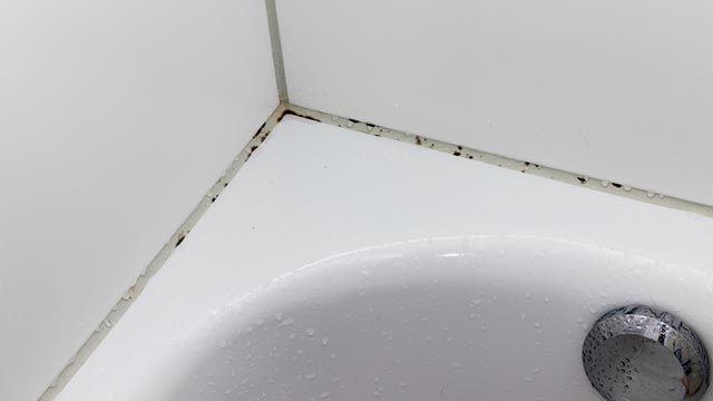 como limpiar banera muy sucia con moho y manchas amarillas trucos
