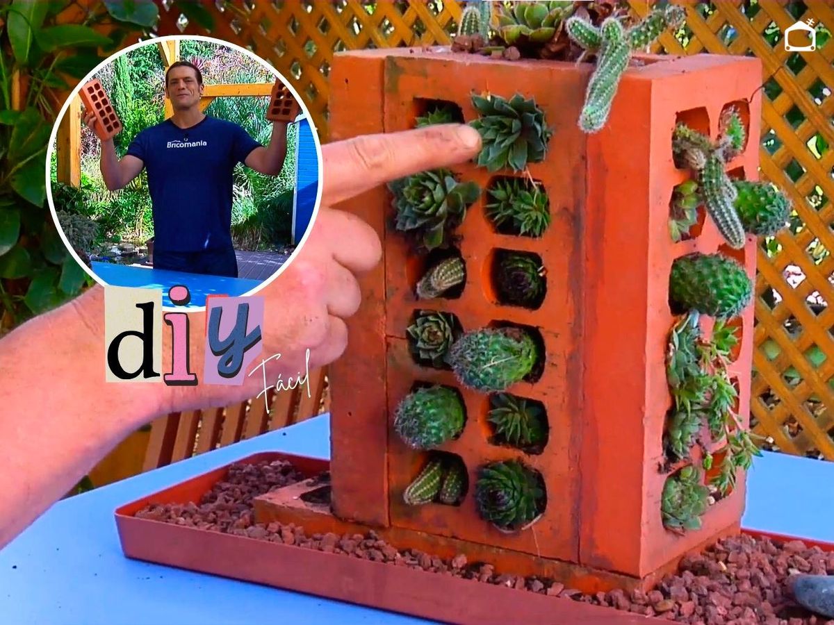 Con un poco de creatividad, unos clásico ladrillos pueden convertirse en un mini-jardín.