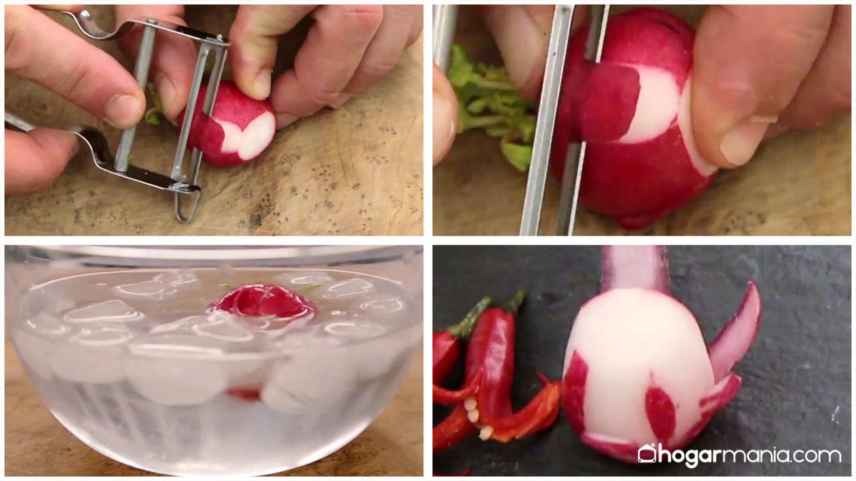 CABI0071 Truco cortes decorativos rabanitos