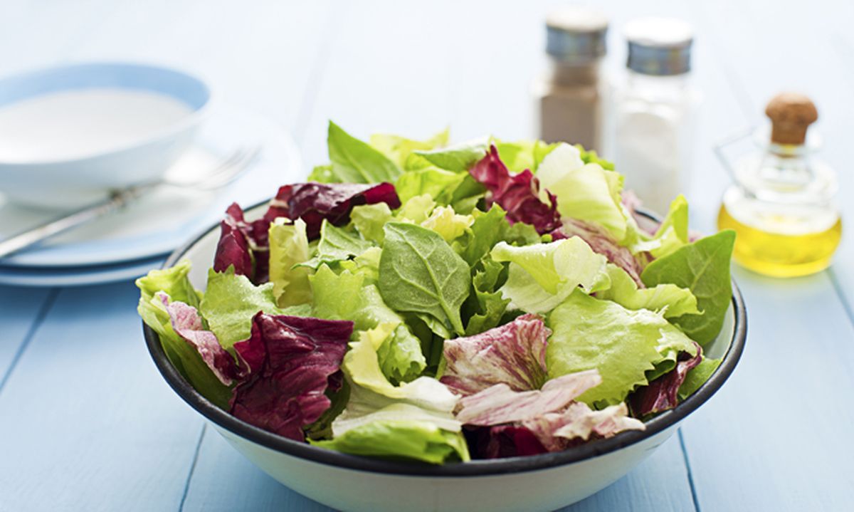 5338 nutricion ainhoa lechuga xl