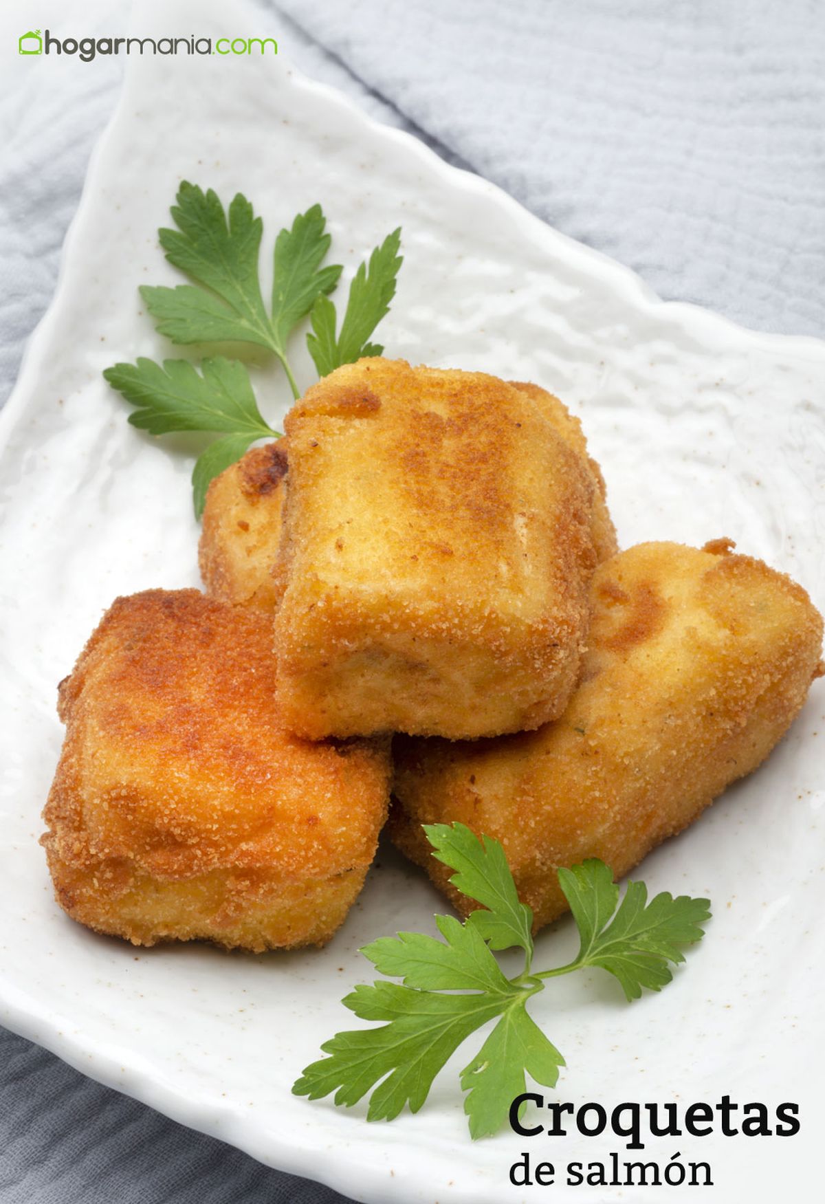 6206 1 Croquetas de salmon vertical xl