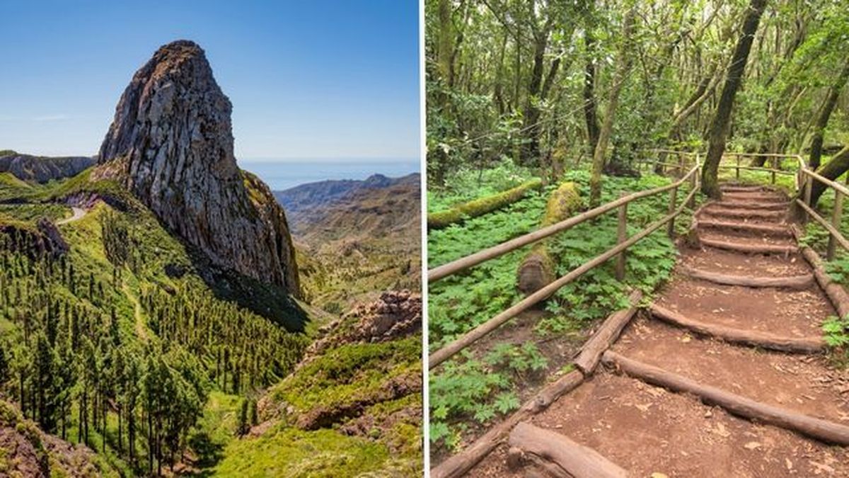 Parque nacional de garajonay