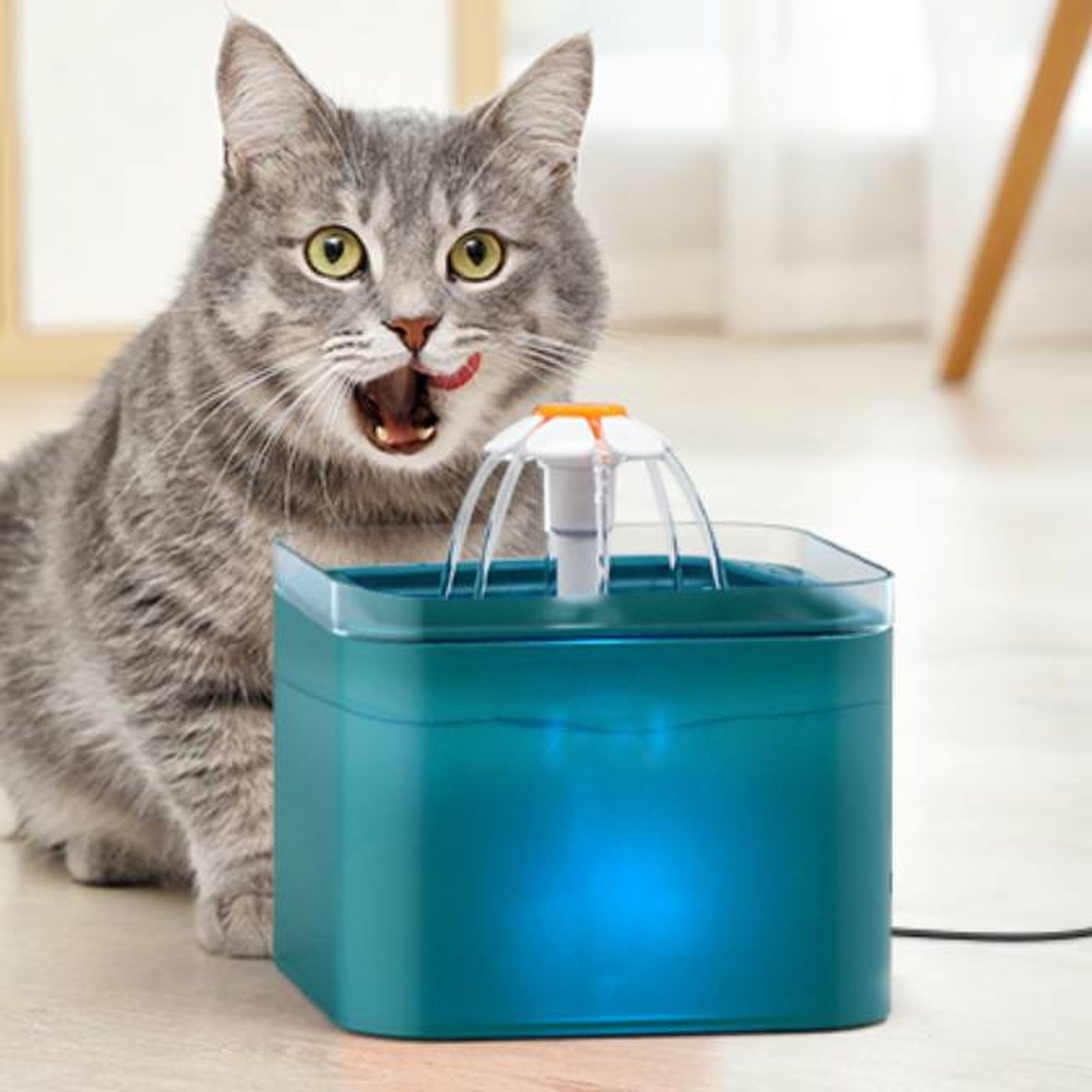 productos para gatos mas vendidos amazon fuente de agua bebedero