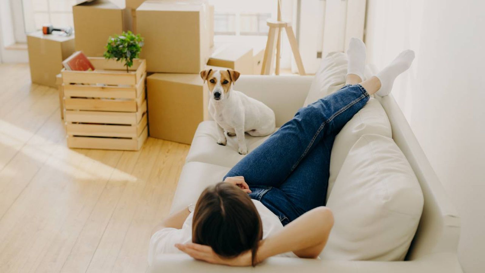 alquiler vivienda con mascotas consejos