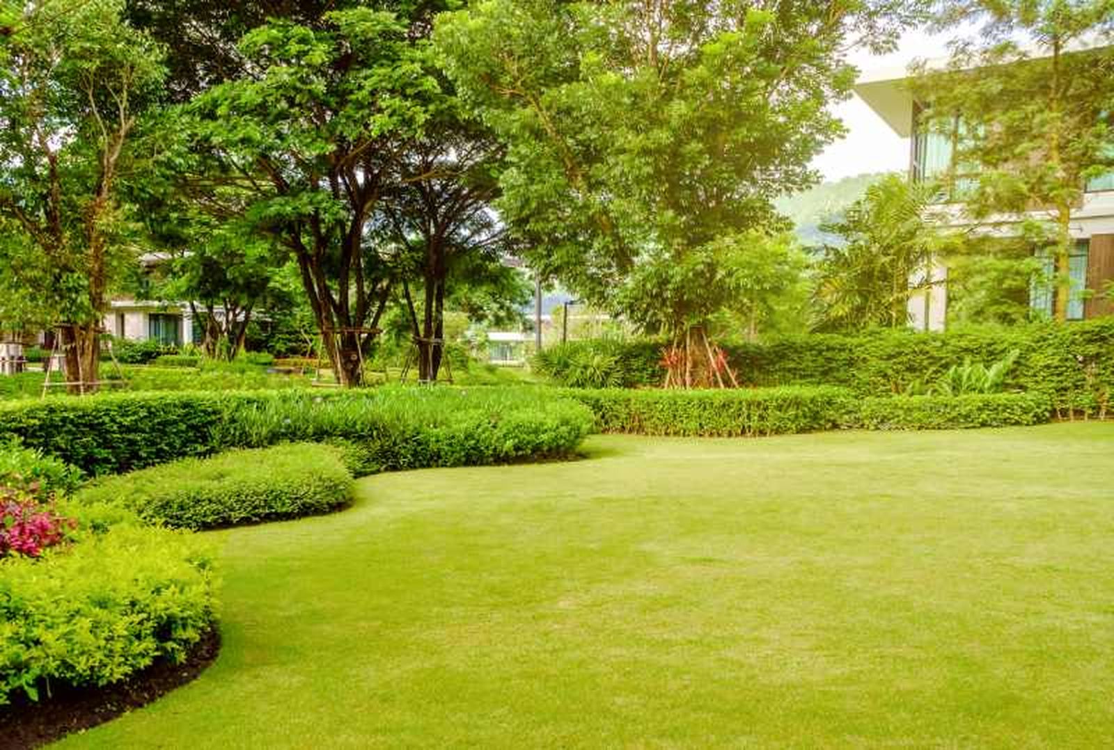 Crea un borde natural y separa las distintas zonas del jardín.