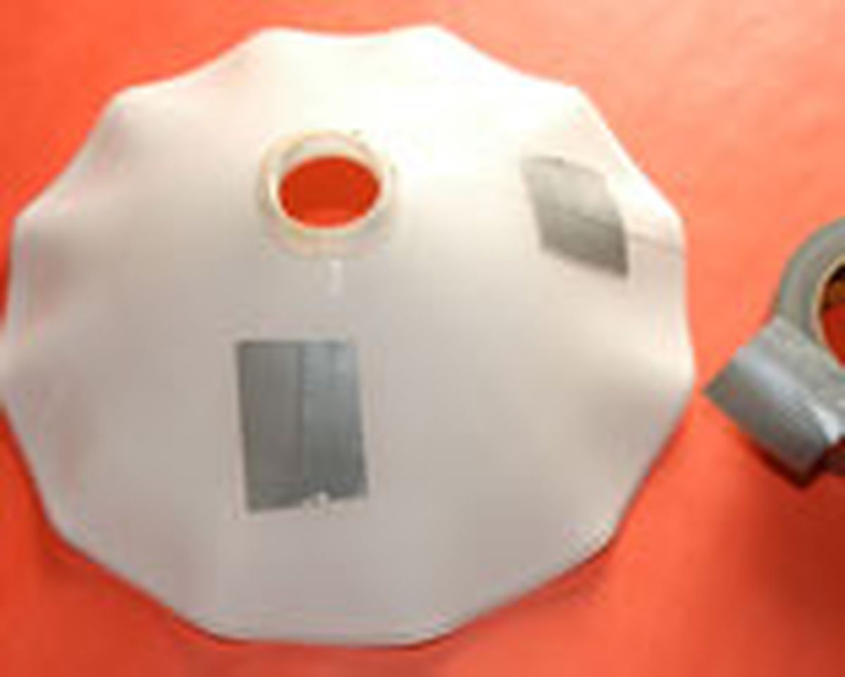 334 arreg pant cris p5