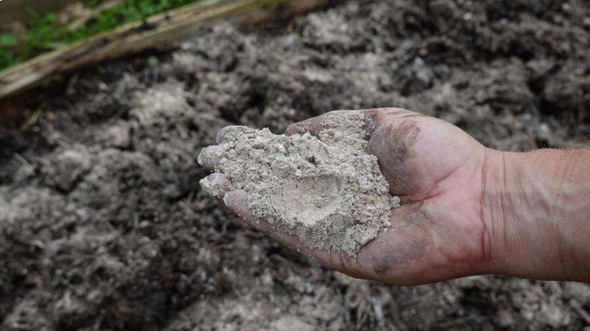 formas correctas de usar la ceniza en el jardin