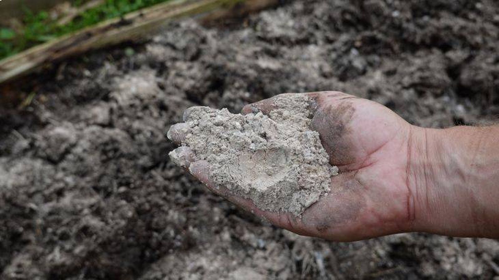 formas correctas de usar la ceniza en el jardin