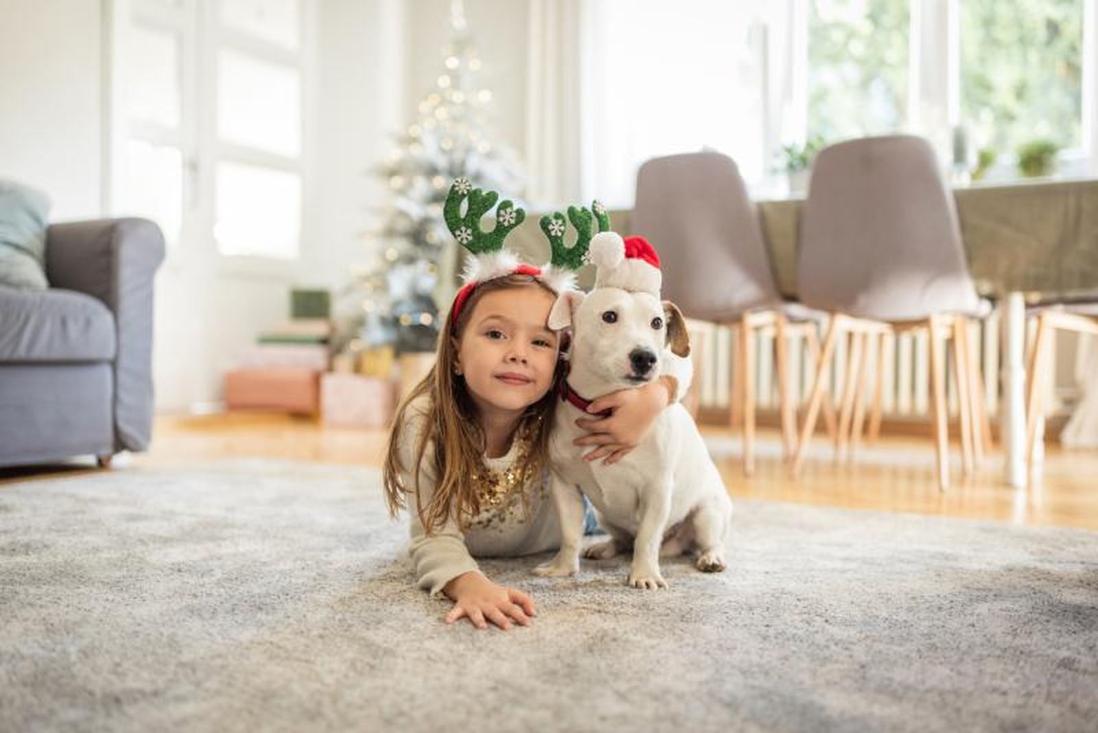 Acoger a un animal en Navidad es una acción solidaria inigualable