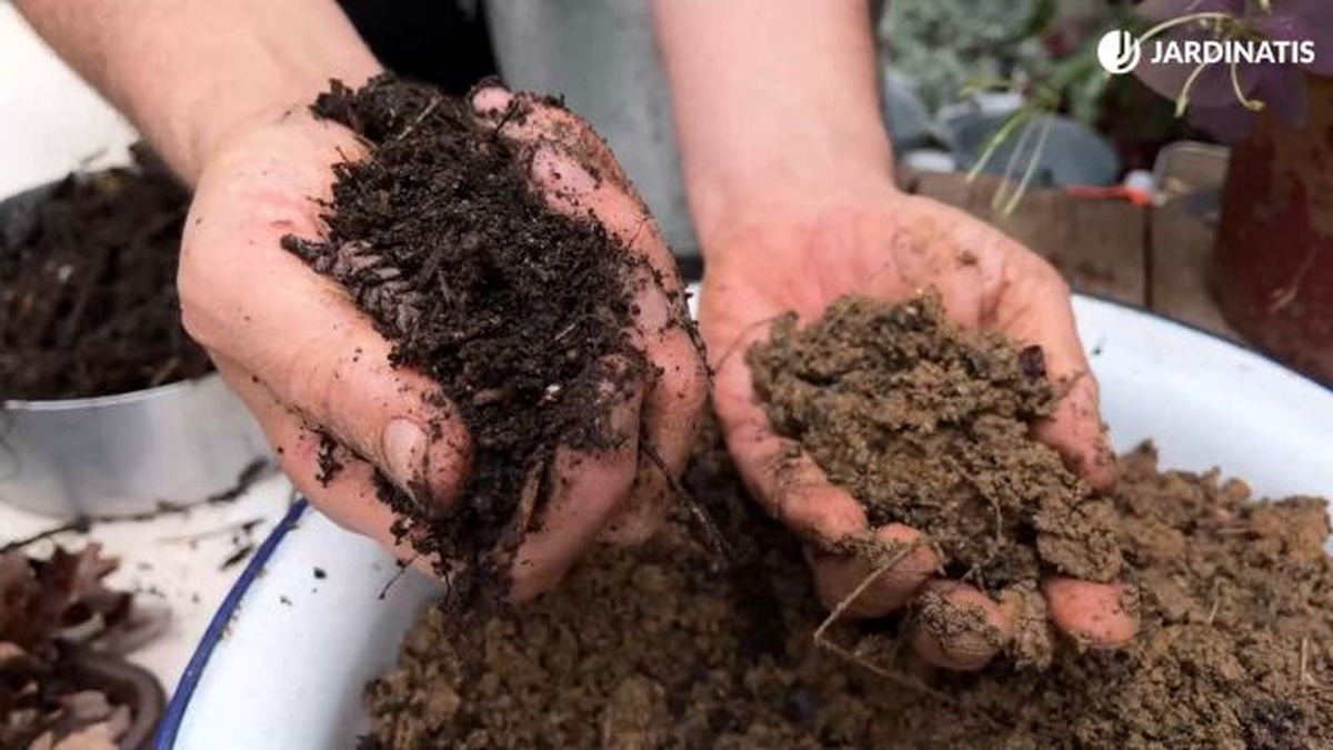 tierra organica y tierra mineral jardinatis 23 39