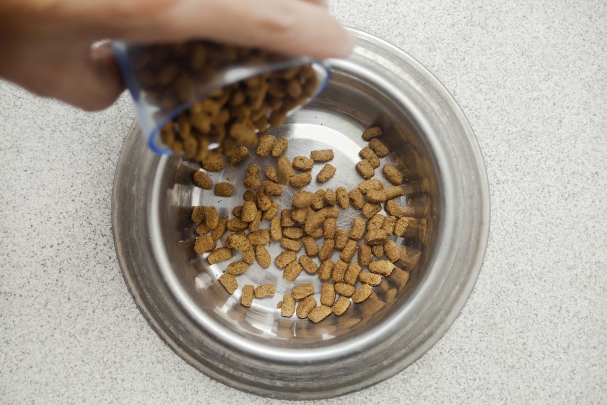 Alimento especial para perros adultos mestizos 1