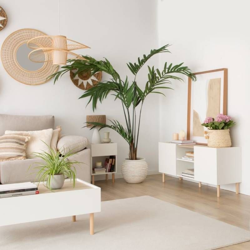 Salón decorado con plantas de interior.