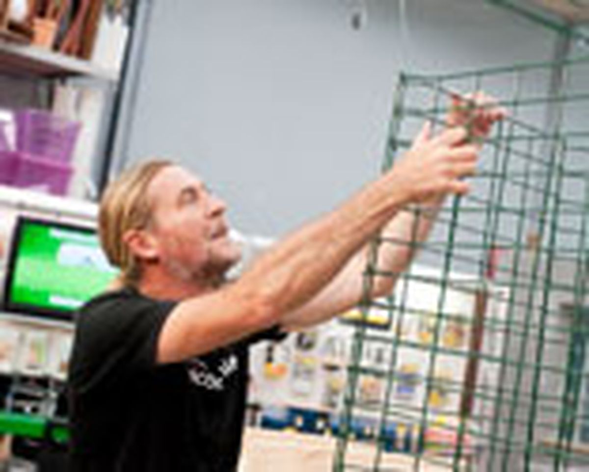 brico 0654 portico jardin paso 7