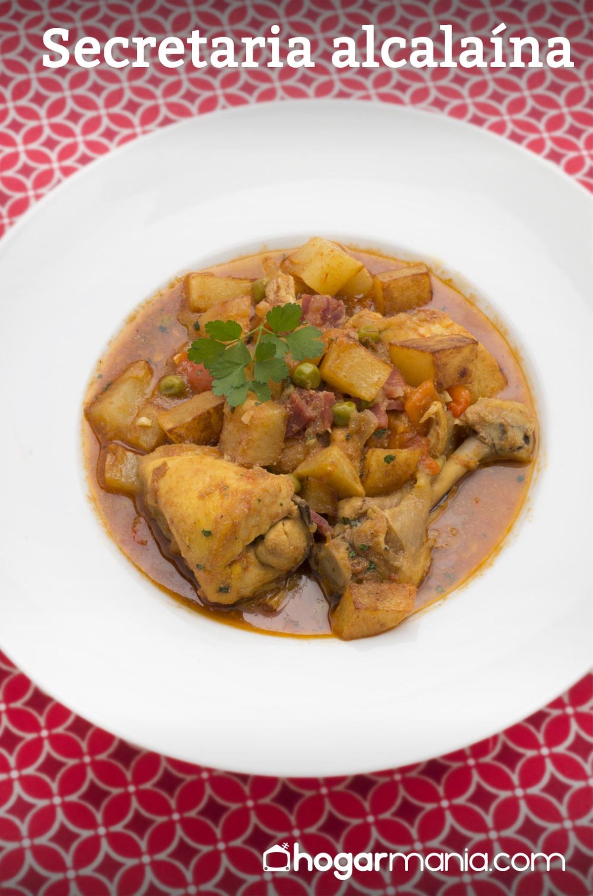 5929 1 Secretaria alcalaina (1315) vertical xl