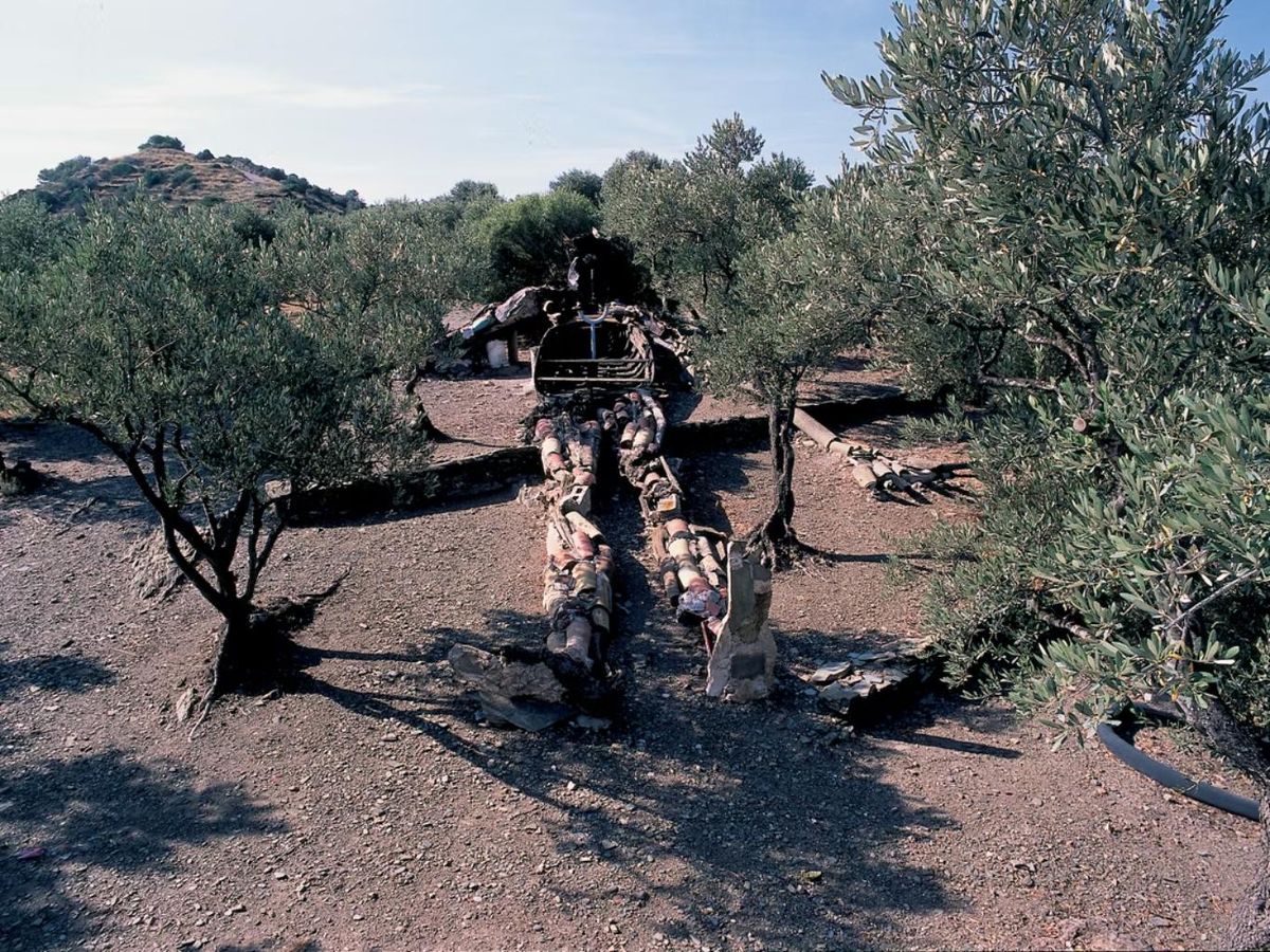 Olivares de la casa de Portlligat de Salvador Dalí.