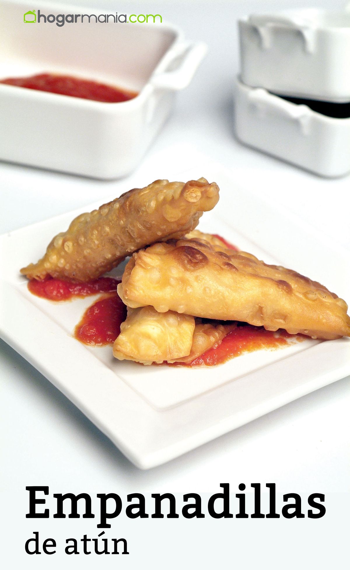 empanadillas atun receta2