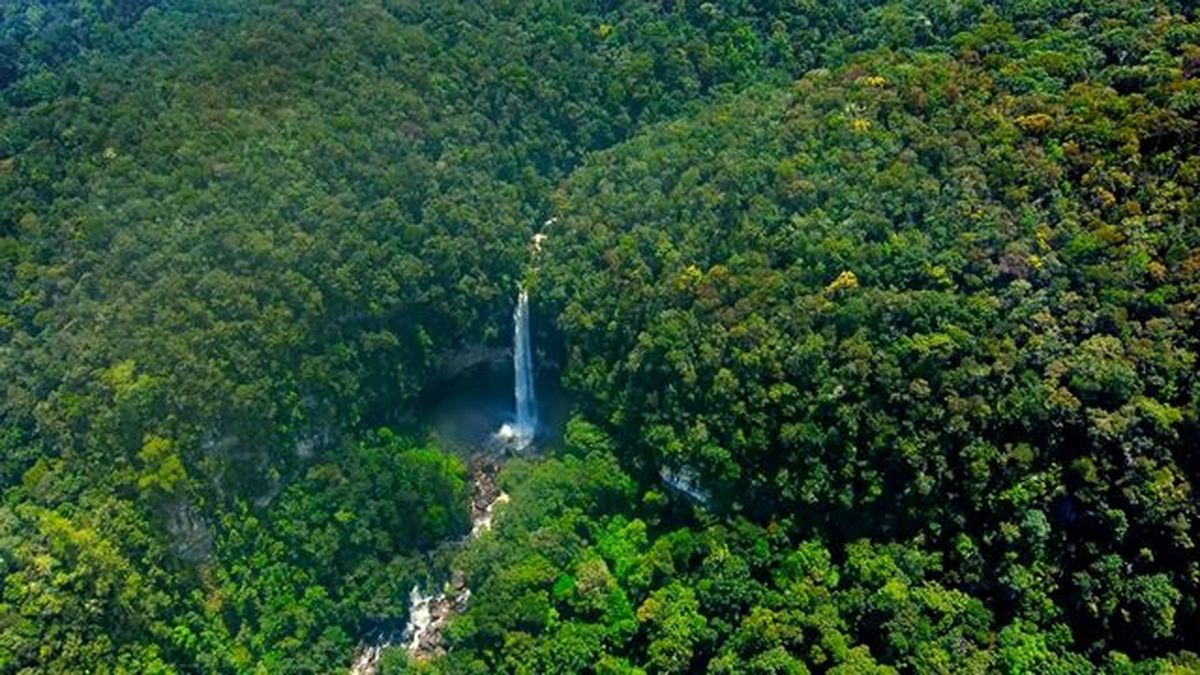 parques nacionales majestuosos netflix
