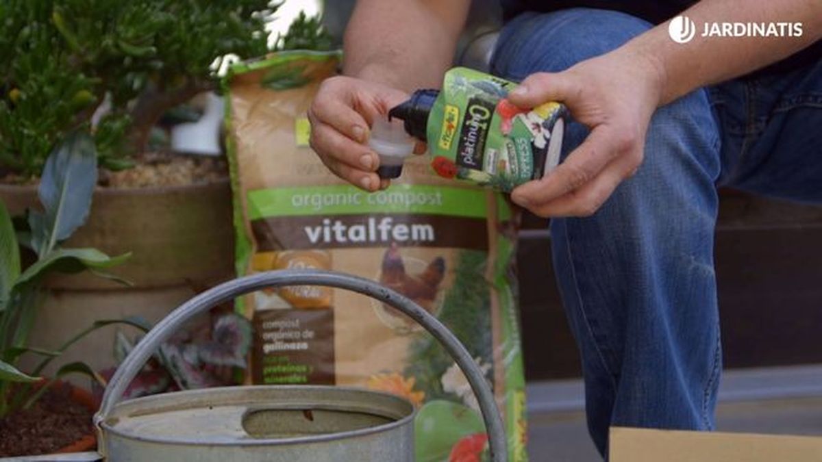 brico 0905 3 2 tipos abonos usos abono plantas interior abono liquido