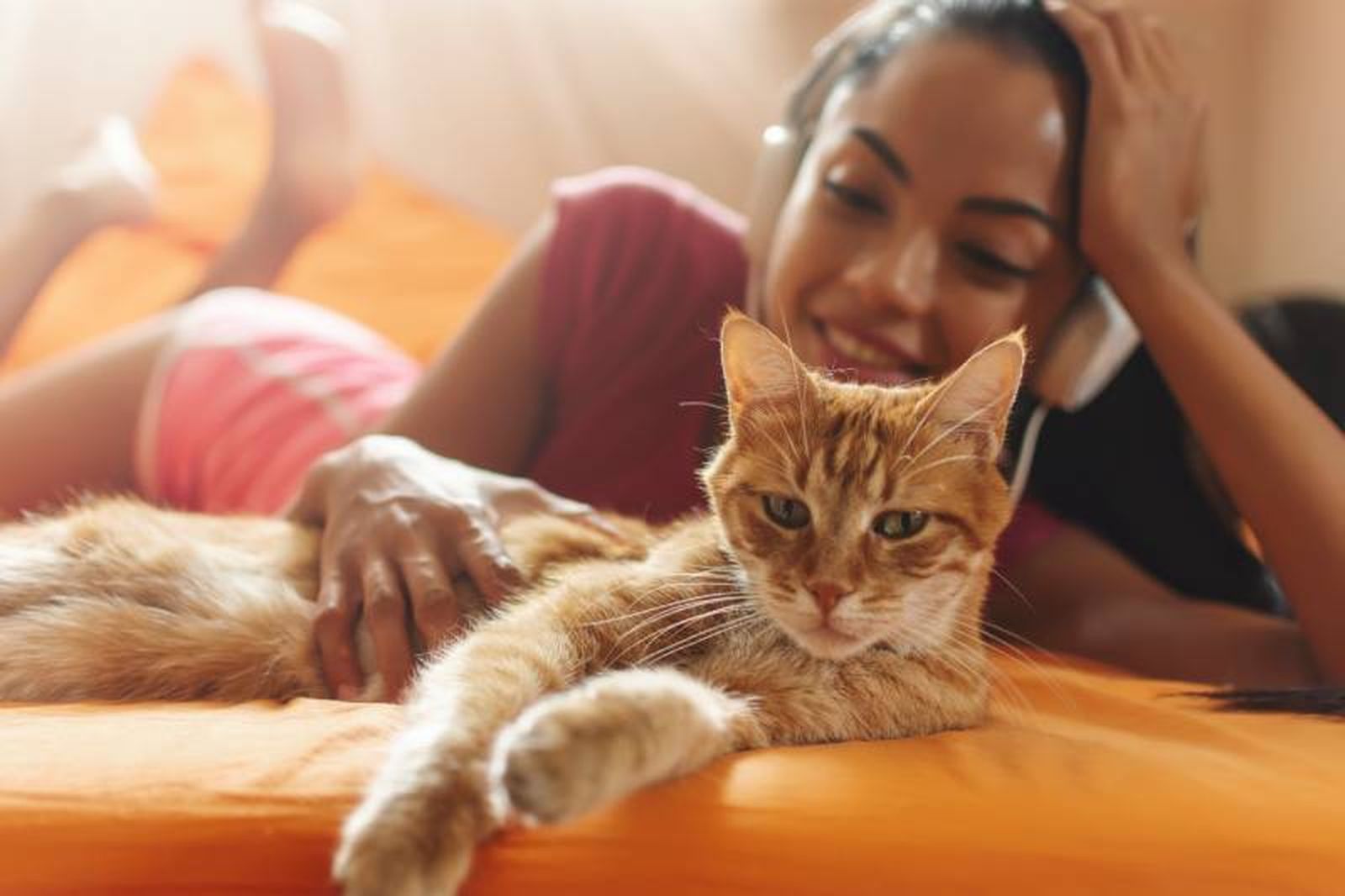 Con solamente ver a tu gato descansar o jugar, obtendrás un efecto calmante y positivo.