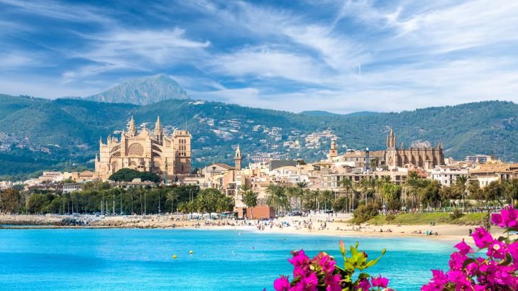 viajar con perro en el puente de diciembre mallorca